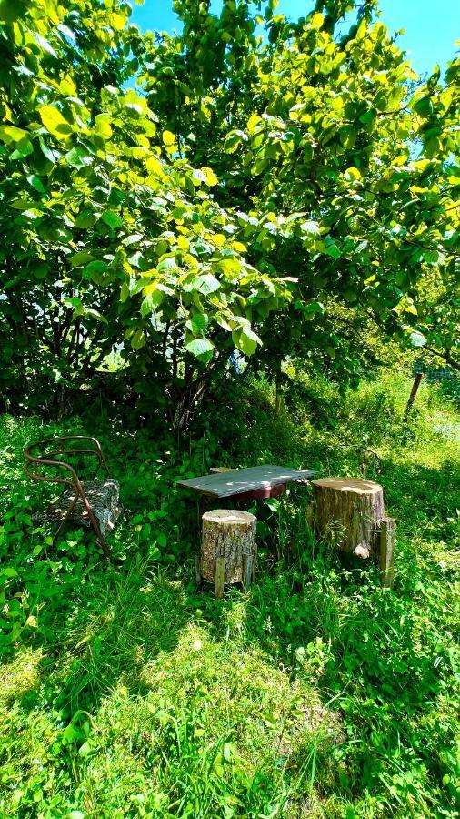 Mountain Top Getaway In Dilijan! Exterior foto